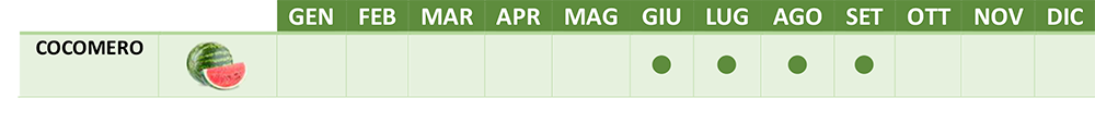 CALENDARIO PRODUZIONE Image