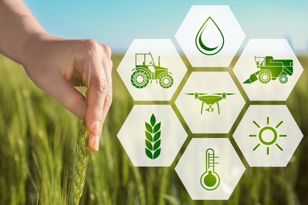 Big Data in Agricoltura