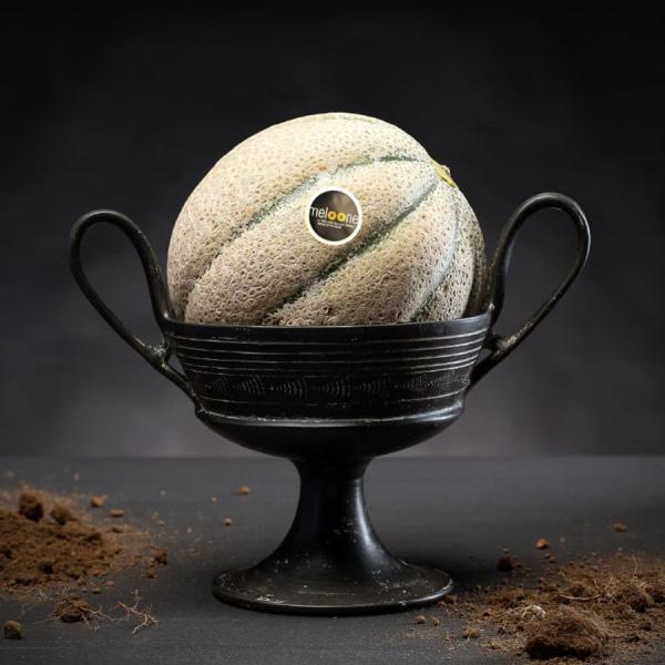 Melone